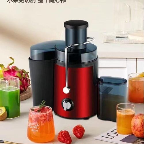 Fruit & Vegetable Juicer